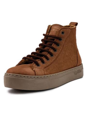 natural world Boots in Hellbraun