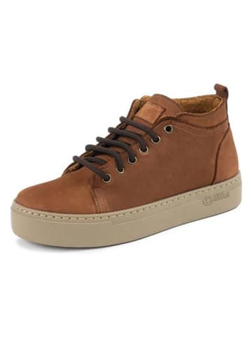 natural world Boots in Dunkelbraun