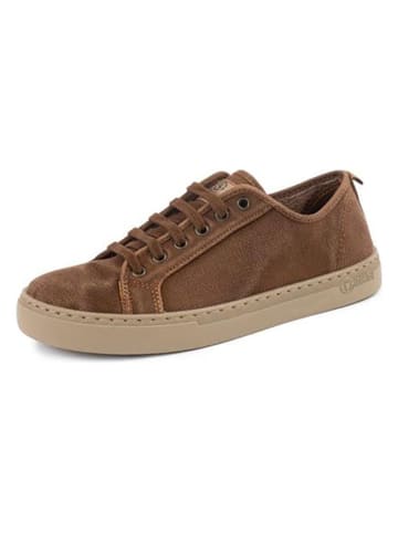 natural world Sneakers in Dunkelbraun