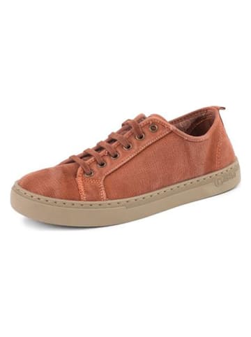 natural world Sneakers lichtbruin