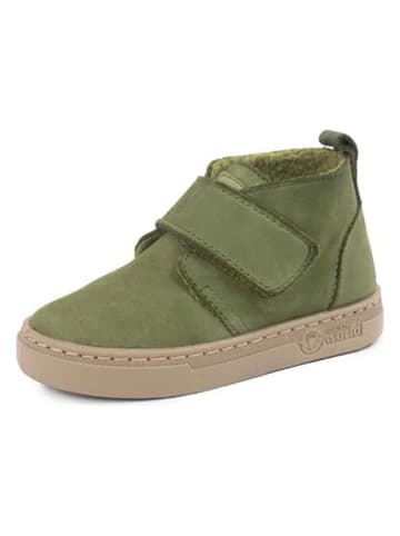natural world Botki w kolorze khaki