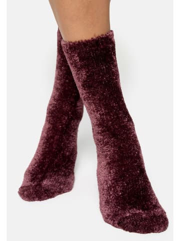 Nur Die Socken in Bordeaux