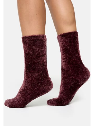 Nur Die Sokken bordeaux