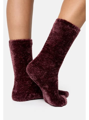 Nur Die Sokken bordeaux