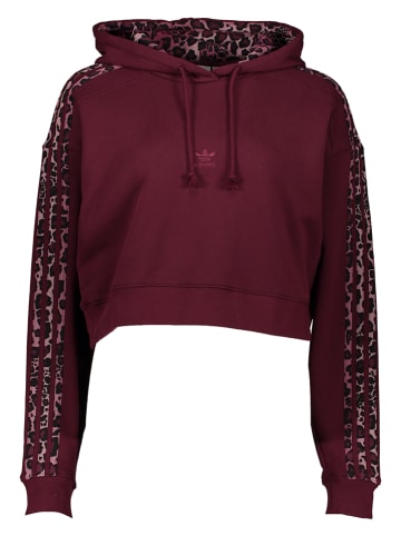 adidas Hoodie in Rot