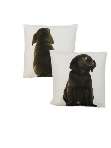 Mars & More Kissen "Labrador" in Braun/ Weiß - (L)33 x (B)33 cm