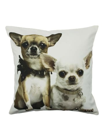 Mars & More Kissen "Chihuahuas" in Hellbraun/ Weiß - (L)50 x (B)50 cm