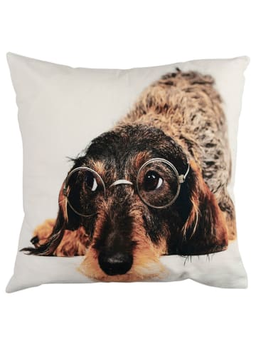 Mars & More Poduszka "Dachshund" w kolorze jasnobrązowo-białym - 50 x 50 cm