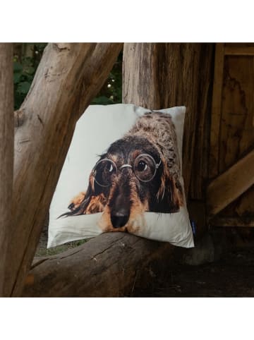 Mars & More Poduszka "Dachshund" w kolorze jasnobrązowo-białym - 50 x 50 cm