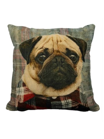 Mars & More Kissem "Preppy Pug" in Bunt - (L)45 x (B)45 cm