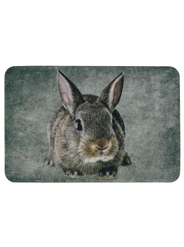 Mars & More Deurmat "Rabbit" lichtbruin/grijs - (L)50 x (B)75 cm