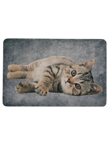 Mars & More Fußmatte "Tabby laying" in Hellbraun/ Grau - (L)50 x (B)75 cm