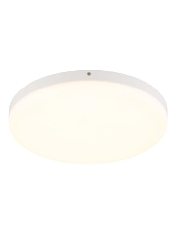 Globo lighting Lampa sufitowa LED "Matthew" w kolorze białym - wys. 5 x Ø 30 cm