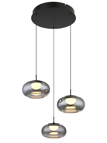 Globo lighting LED-Hängeleuchte "Quintara" in Schwarz - Ø 49 cm