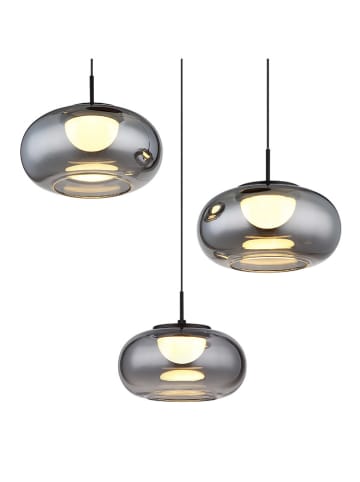 Globo lighting LED-Hängeleuchte "Quintara" in Schwarz - Ø 49 cm