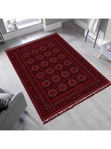 Conceptum Hypnose Kurzflor-Teppich ''Bhr 03'' in Rot