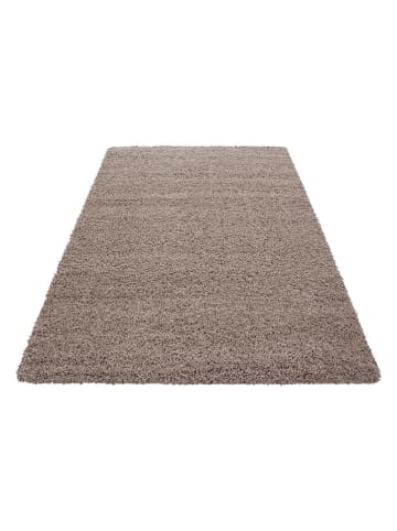 Conceptum Hypnose Hoogpolig tapijt "Life 1500" beige