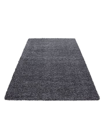 Conceptum Hypnose Dywan ''Life 1500'' w kolorze szarym