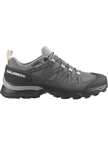 SALOMON Wandelschoenen "X Ward GORE-TEX" grijs