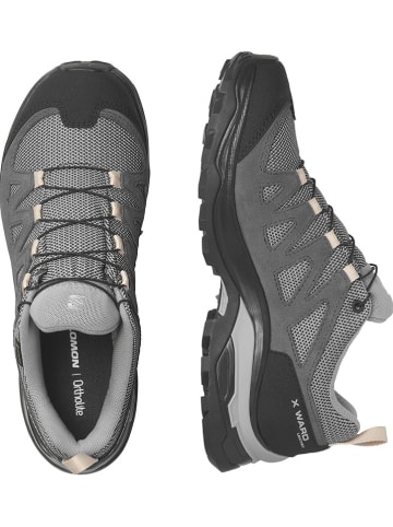 SALOMON Wandelschoenen "X Ward GORE-TEX" grijs