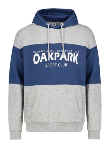 Sublevel Hoodie in Grau/ Blau