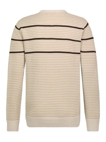 Urban Surface Trui beige/bruin
