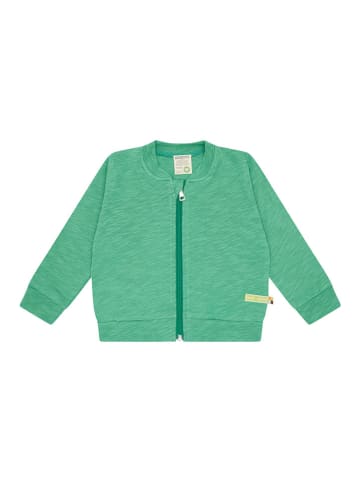 loud + proud Bluza w kolorze zielonym