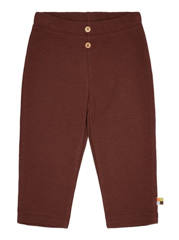 loud + proud Sweathose in Braun