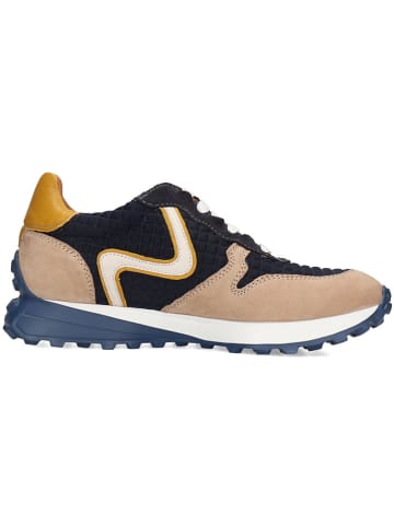 MELVIN & HAMILTON Leder-Sneakers "Richmond 6" in Bunt