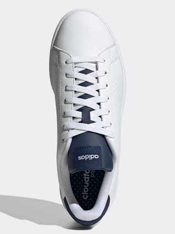 adidas Sneakers in Weiß/ Dunkelblau