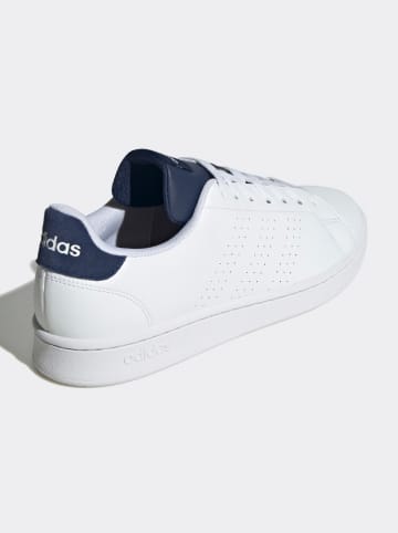 adidas Sneakers wit/donkerblauw