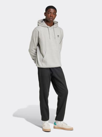 adidas Bluza w kolorze szarym