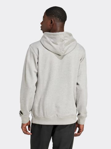 adidas Hoodie in Grau