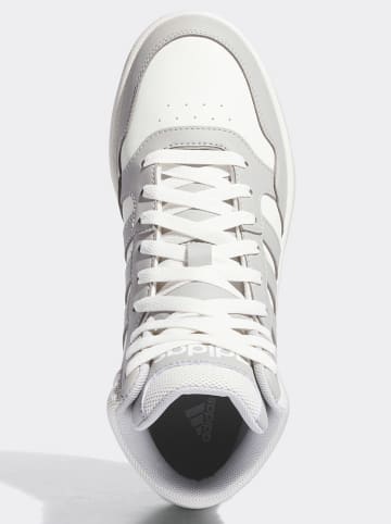 adidas Sneakers in Weiß/ Grau
