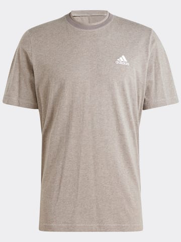 adidas Shirt taupe