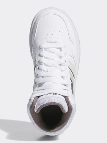 adidas Sneakersy w kolorze biało-antracytowym