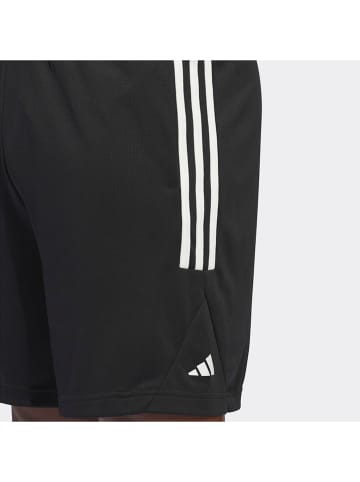 adidas Szorty w kolorze czarnym