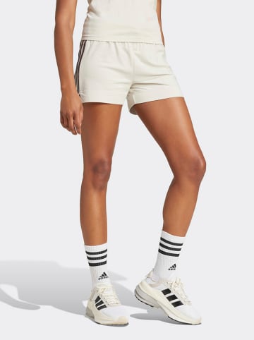adidas Shorts in Creme