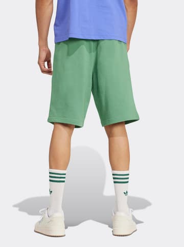 adidas Shorts in Grün