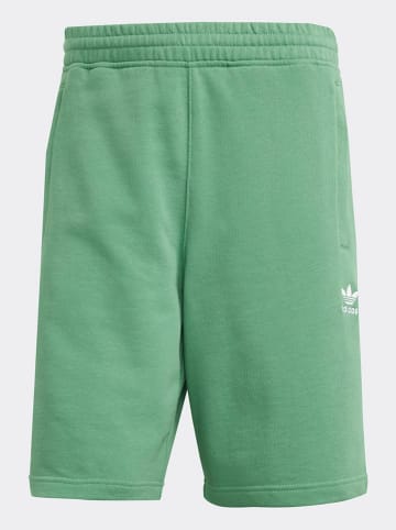 adidas Shorts in Grün