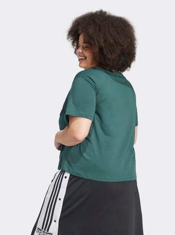 adidas Shirt in Grün