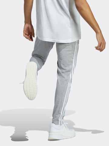 adidas Sweatbroek lichtgrijs