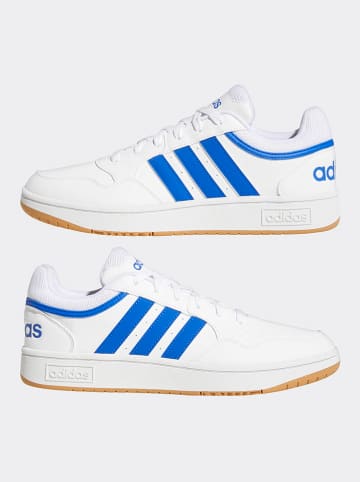 adidas Sneakers in Weiß/ Blau