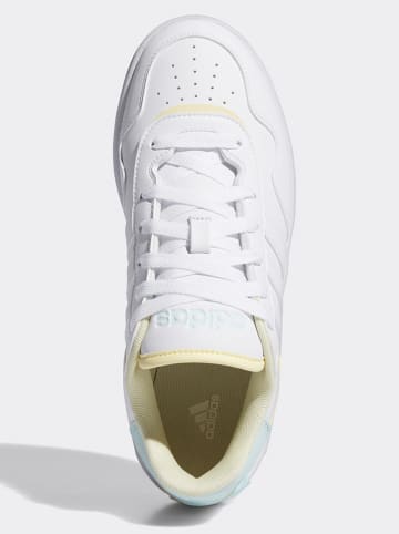 adidas Sneakersy w kolorze biało-błękitno-żółtym