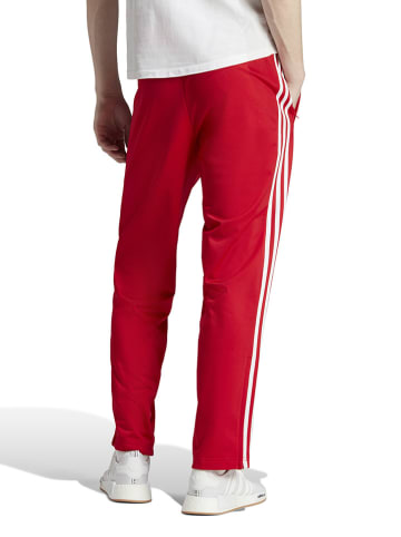 adidas Sweatbroek rood