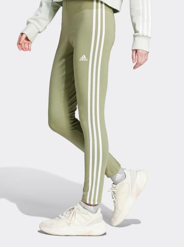 adidas Leggings olijfgroen