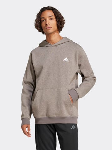adidas Hoodie taupe