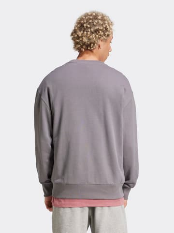 adidas Sweatshirt grijs