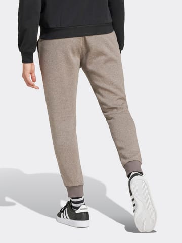 adidas Spodnie dresowe w kolorze jasnobrązowym