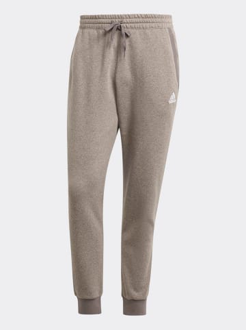 adidas Sweathose in Hellbraun